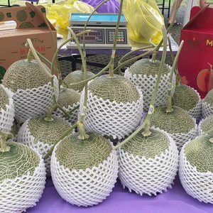 Dưa lưới Mai An Tiêm