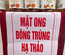 Mật ong đông trùng hạ thảo – Hũ thuỷ tinh 400ml