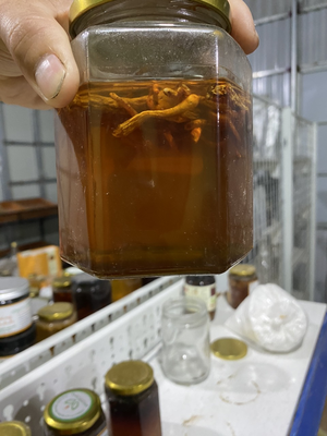 Mật ong ngâm hoa đu đủ đực 