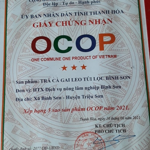 Trà cà gai leo túi lọc Bình Sơn