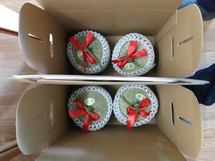 Dưa lưới Mai An Tiêm