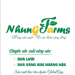 Nông trại Nhung Farm - HTX Nông nghiệp xanh CNC Hồng Nhuệ