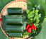 Nem nướng