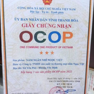 Nấm ngân nhĩ Ngọc Việt