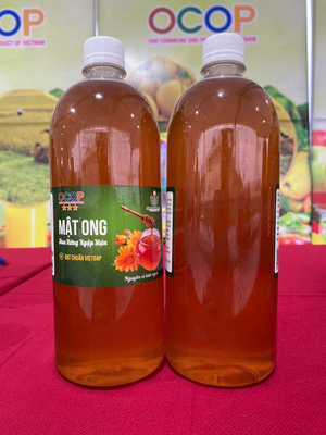 Mật ong rừng ngập mặn – Chai thủy tinh 1000ml