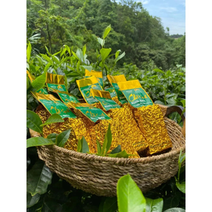 Trà sach Bình Sơn