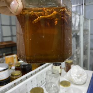 Mật ong ngâm hoa đu đủ đực 
