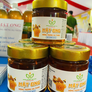 Mật ong đông trùng hạ thảo – Hũ thuỷ tinh 200ml
