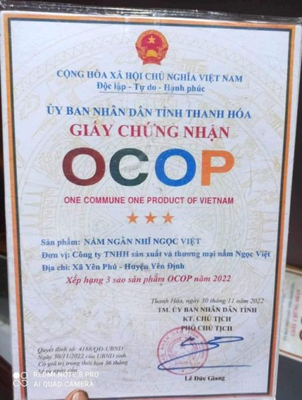 Nấm ngân nhĩ Ngọc Việt