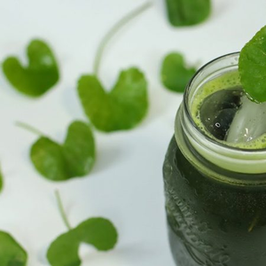Bột rau má uống liền không đường