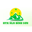 Hợp tác xã dịch vụ nông lâm nghiệp Bình Sơn