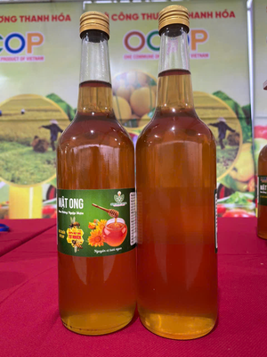 Mật ong rừng ngập mặn – Chai thủy tinh 650ml