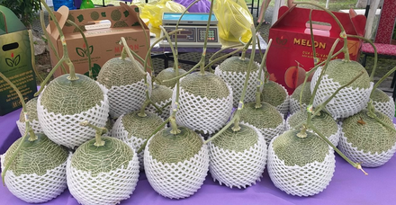 Dưa lưới Mai An Tiêm